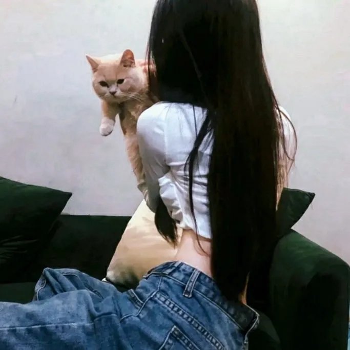 搜索者